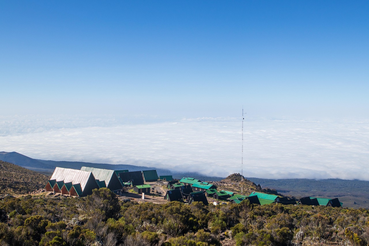 kilimanjaro hike day trip via marangu route