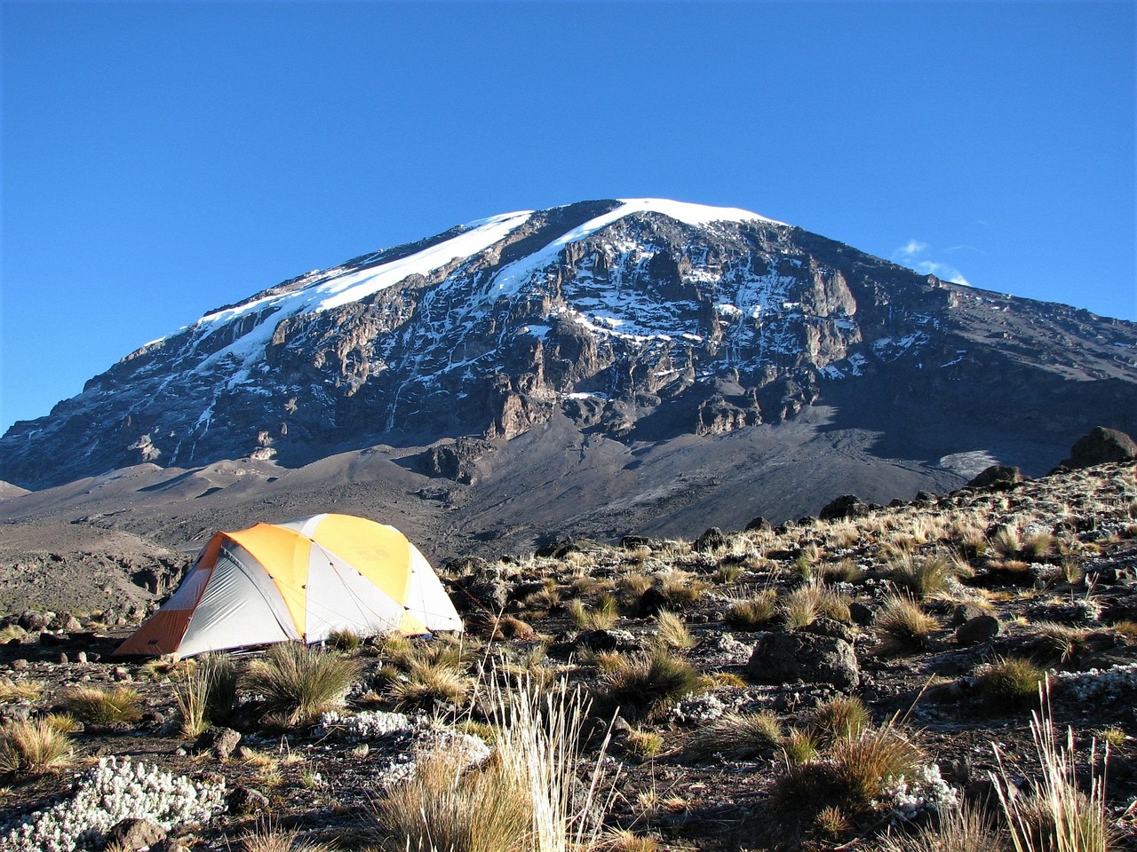 8 Days Lemosho Route Kilimanjaro Trek