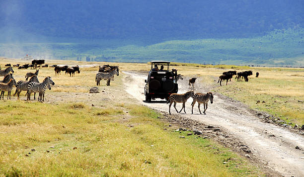 1 day trip to arusha national park