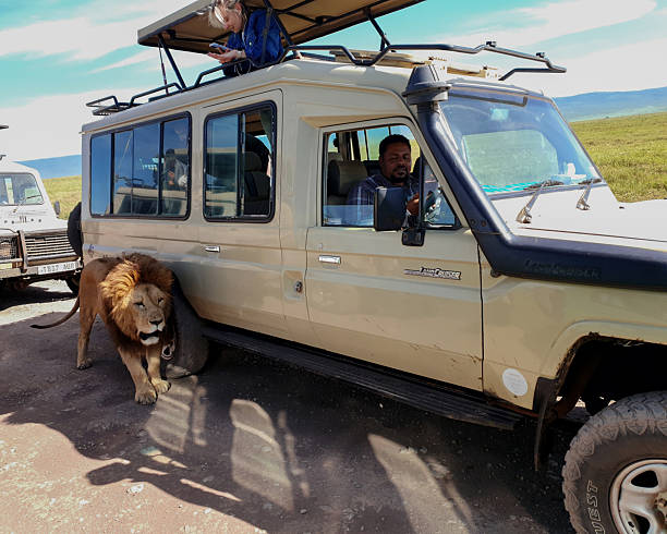 tanzania safari packages and prices guide