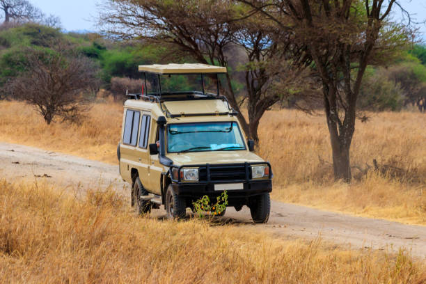 tanzania safari travel tips for beginners