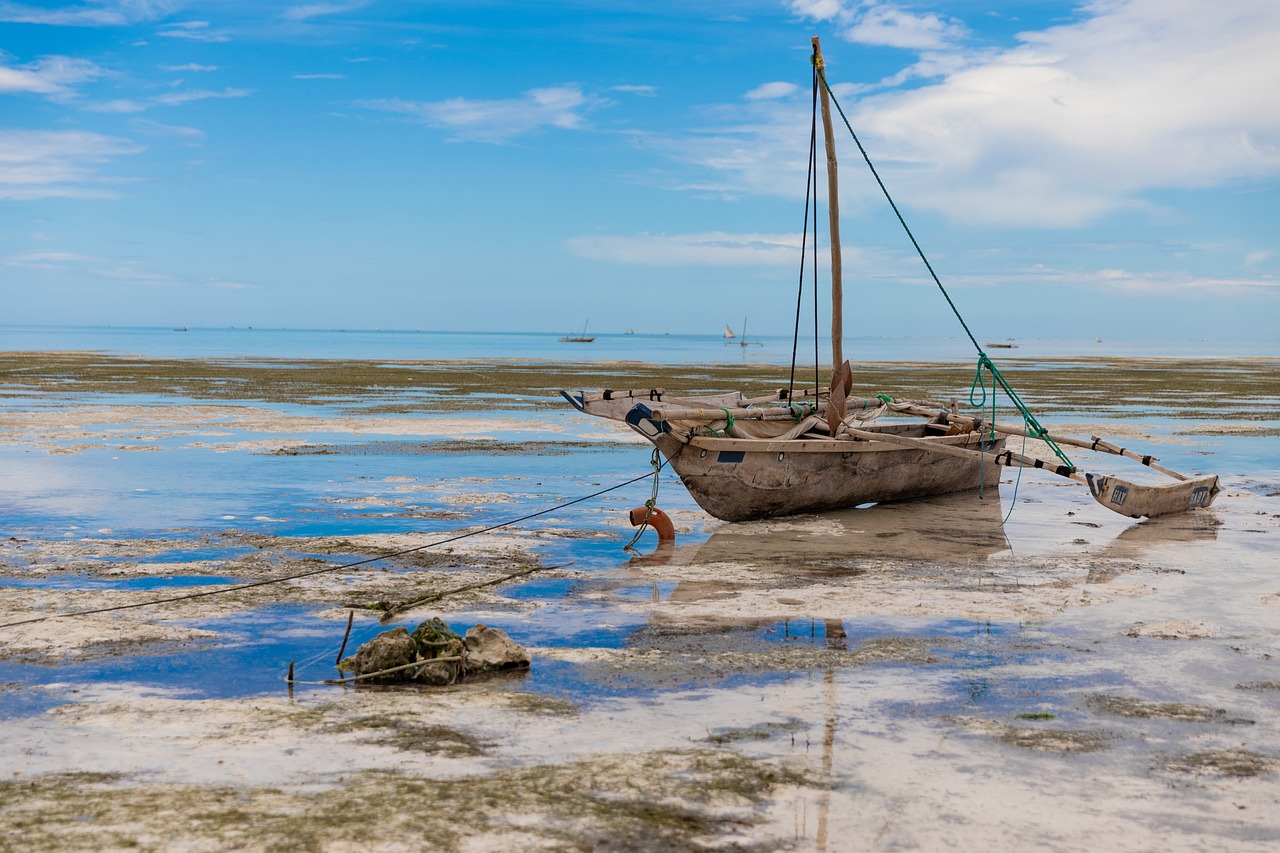 6 Days Zanzibar Ultimate Beach & Adventure Tour
